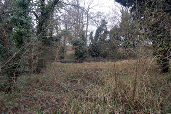 site of Stanford Mill pond March 2008